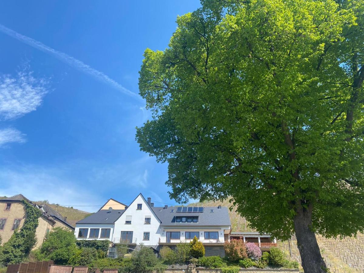 Wein Und Gastehaus Marlene Pohl Hotel Kinheim Esterno foto